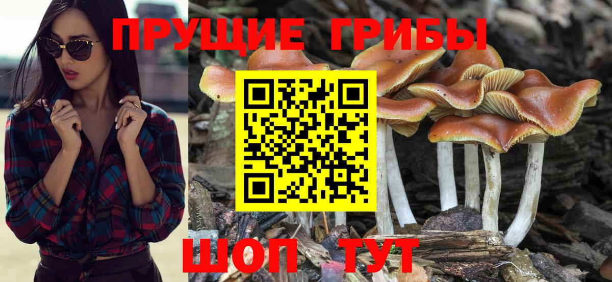 Псилоцибиновые грибы мицелий Красноуфимск