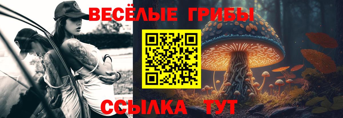 Псилоцибиновые грибы Psilocybe  Вход с VPN  что такое наркотик  Красноуфимск 